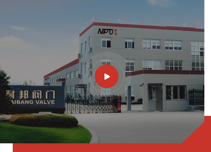  Fabricante de válvula de retenção